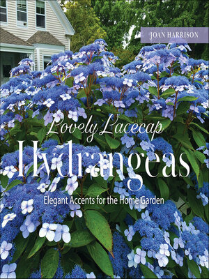 cover image of Lovely Lacecap Hydrangeas